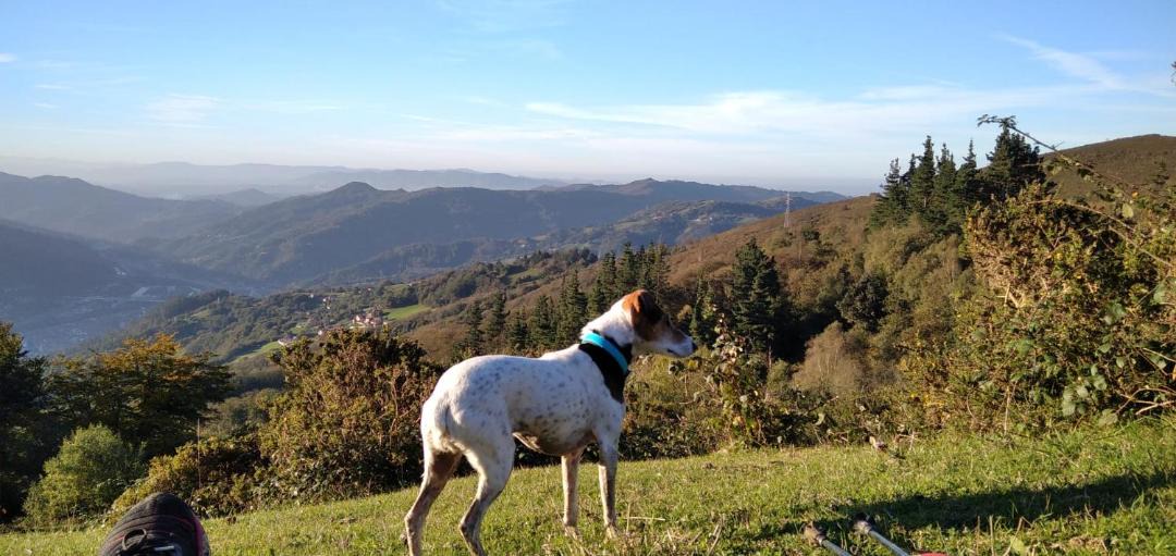 Photo of Others in Mieres