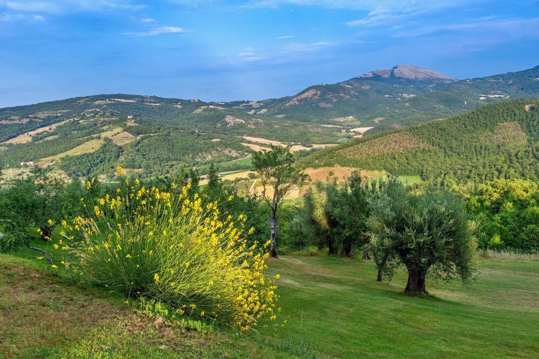 Photo of Outdoor in Umbertide