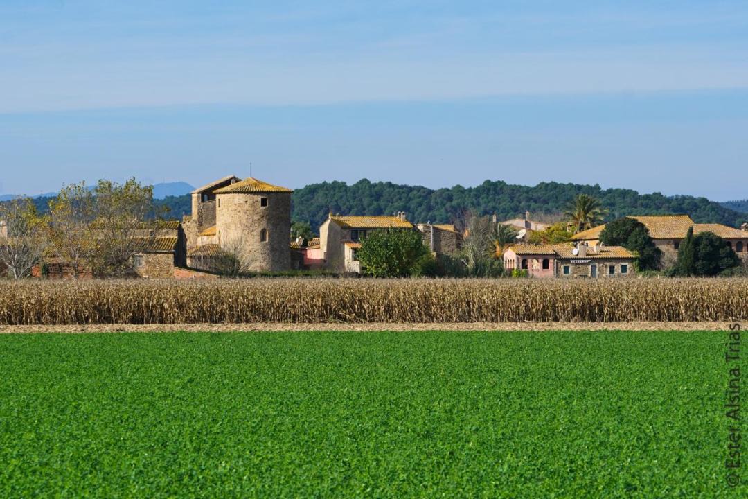 Photo of Others in Fonalleras