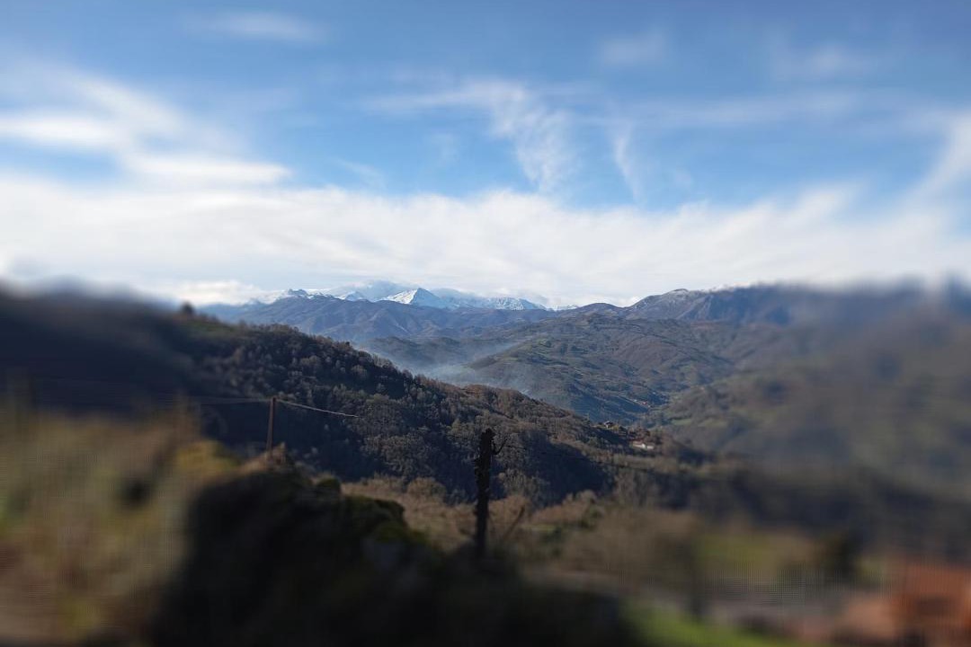 Photo of Others in Mieres