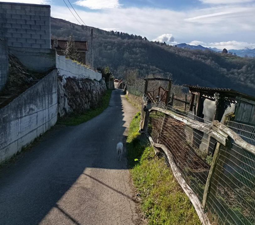 Photo of Others in Mieres