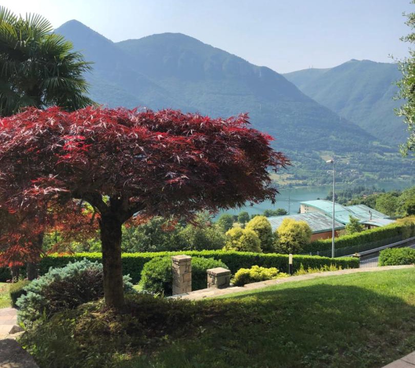 Photo of Others in Ranzanico