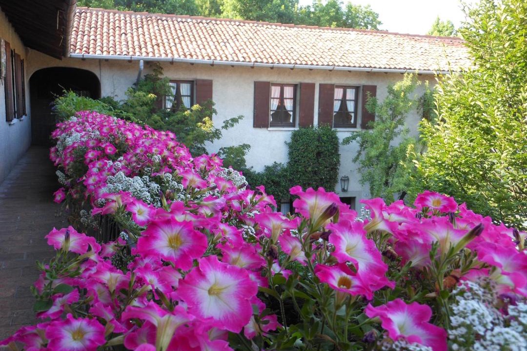 Photo of Others in Orsenigo