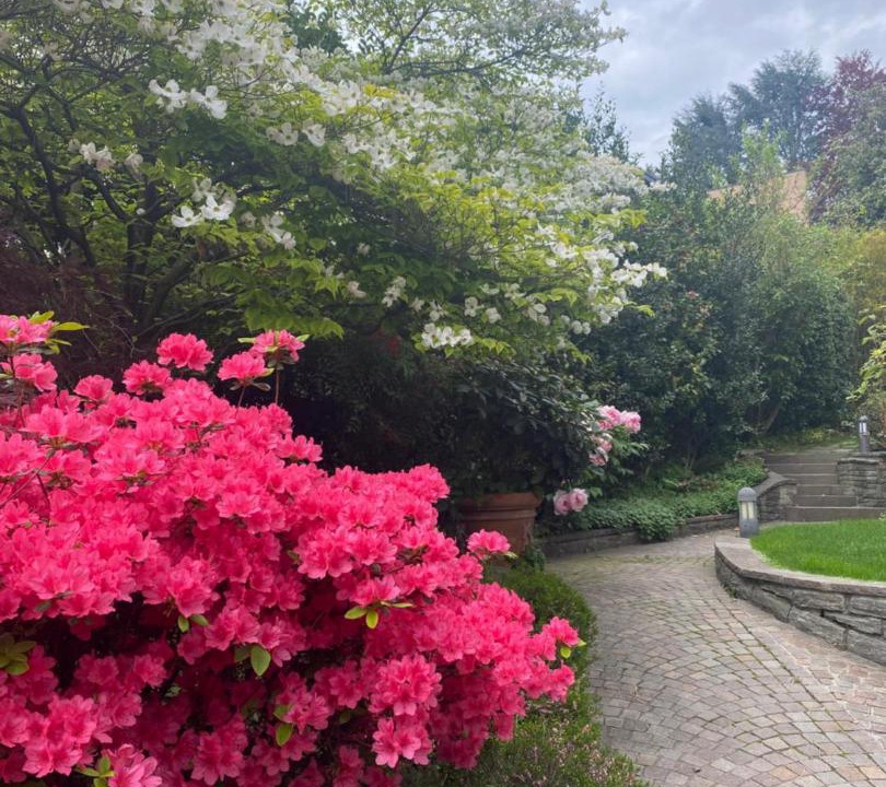 Photo of Outdoor in Varese