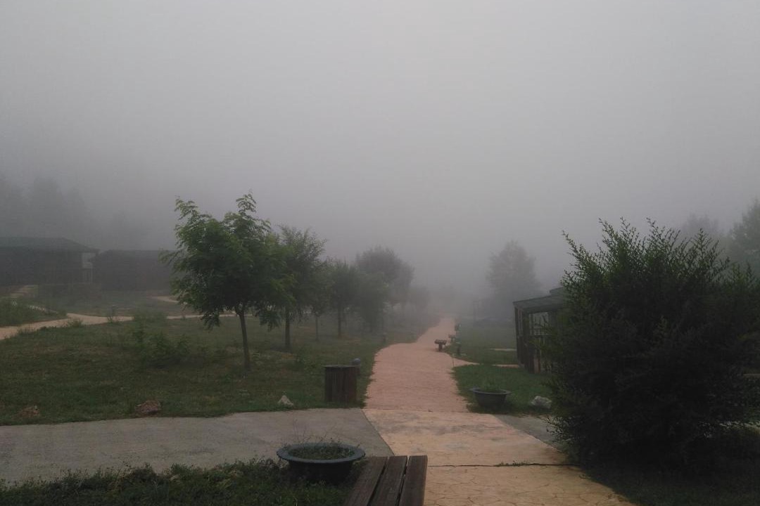 Photo of Others in Camarena de la Sierra