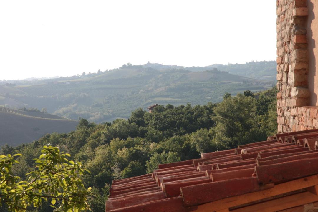 Photo of Others in Serralunga d'Alba