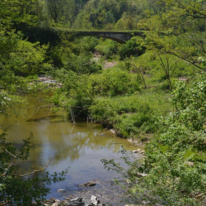 Photo of Outdoor in Mondovi
