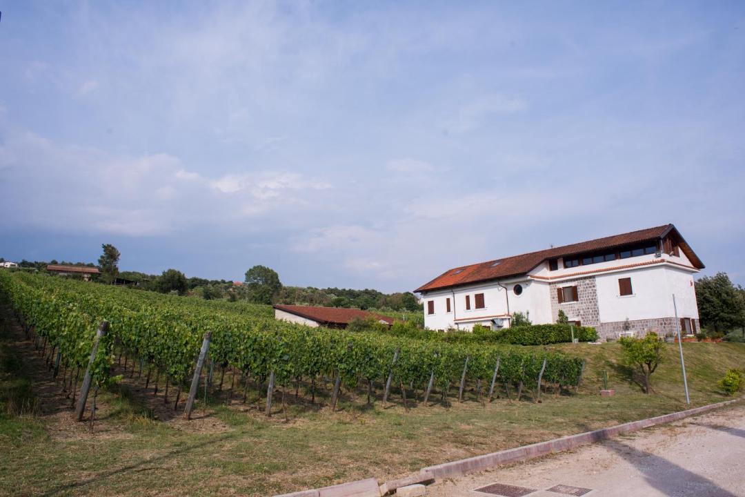 Photo of Others in Alvignano