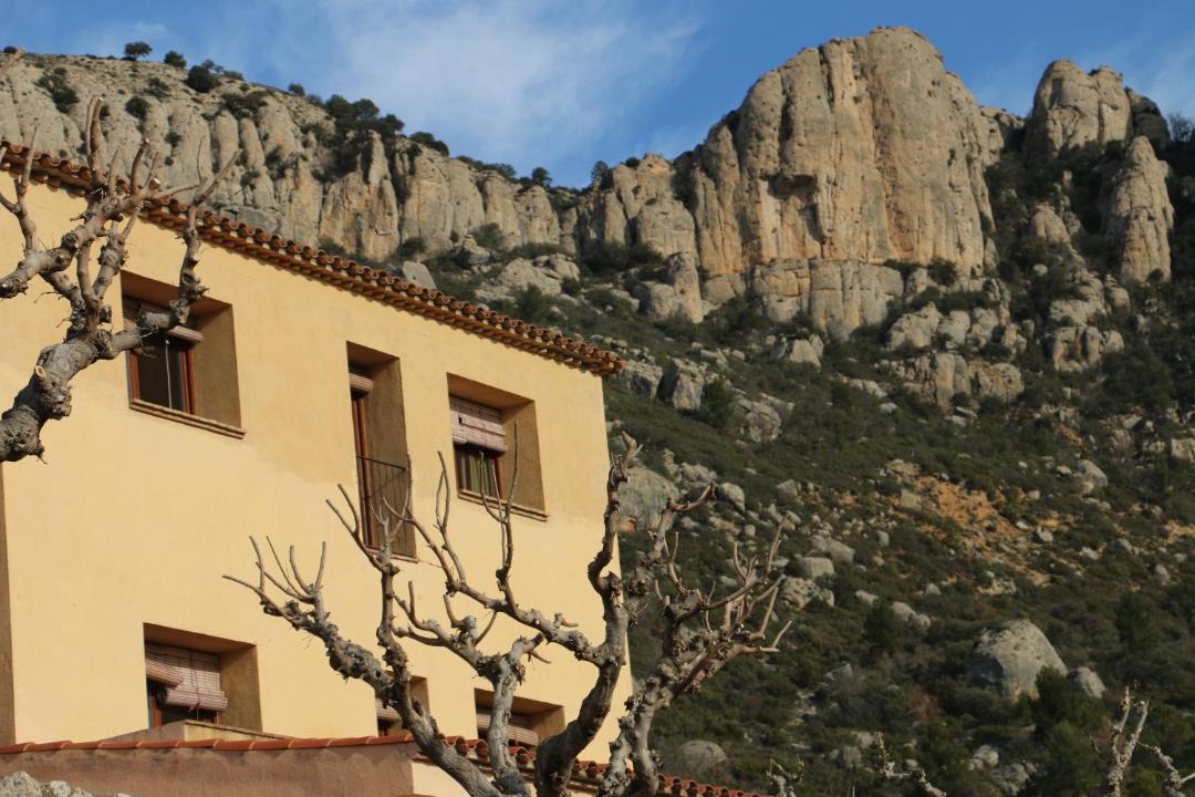 Photo of Others in La Morera de Montsant