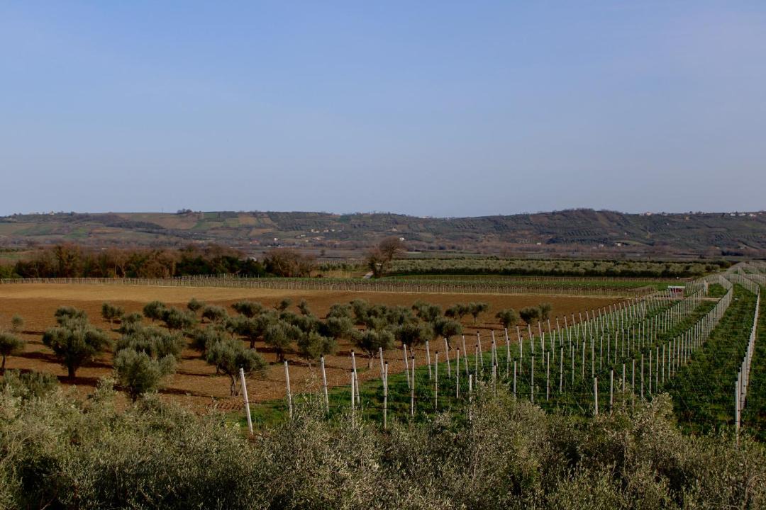 Photo of Others in Santa Maria Imbaro