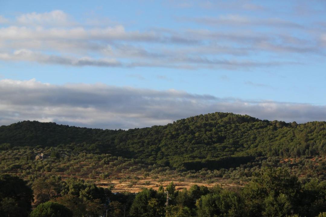 Photo of Others in Cazalla De La Sierra