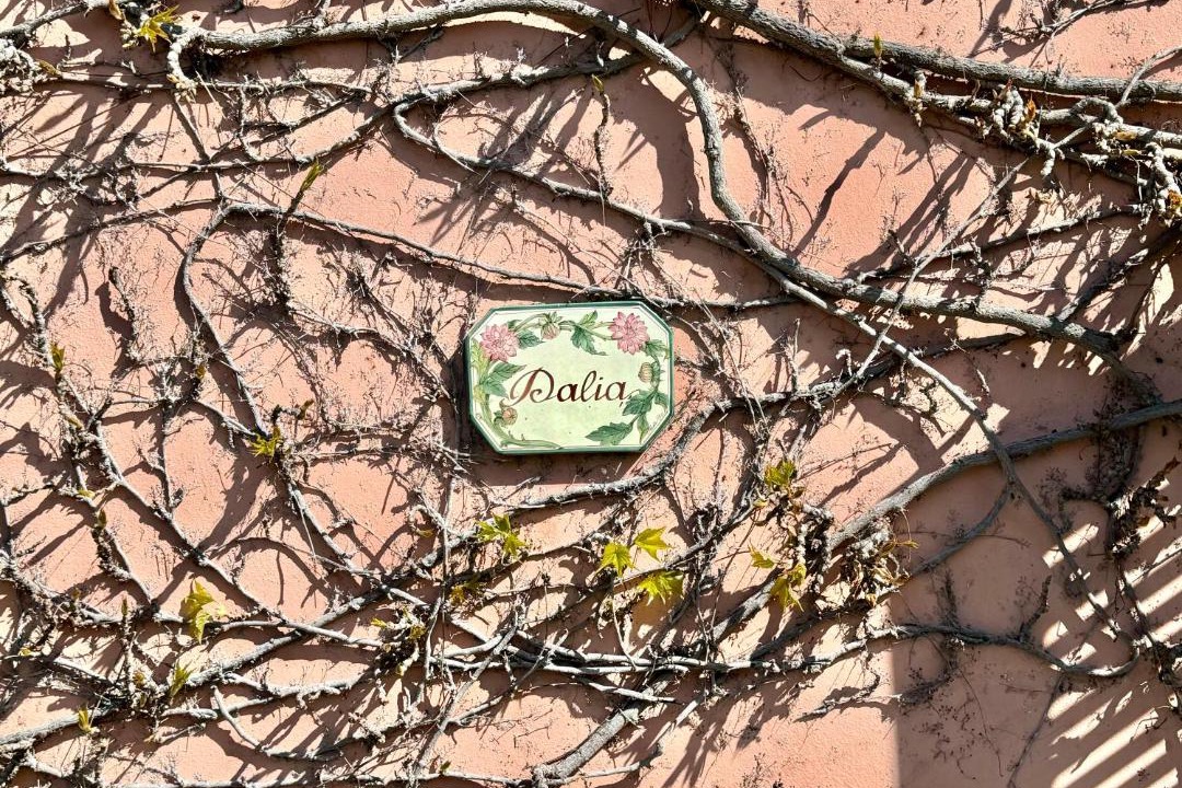 Photo of Others in Castelnuovo Magra
