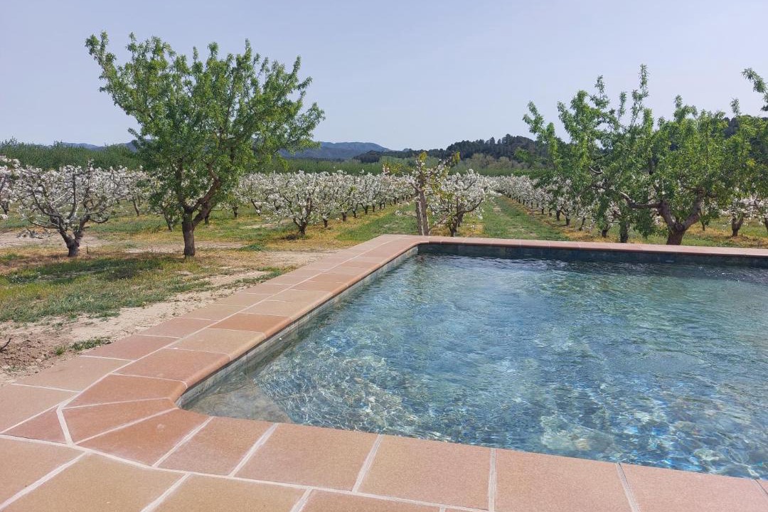 Photo of Outdoor in Miravet