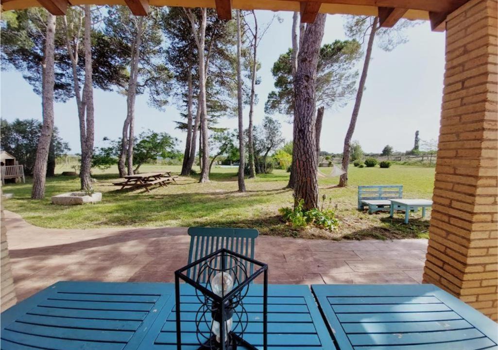 Photo of Patio Balcony in Terrades