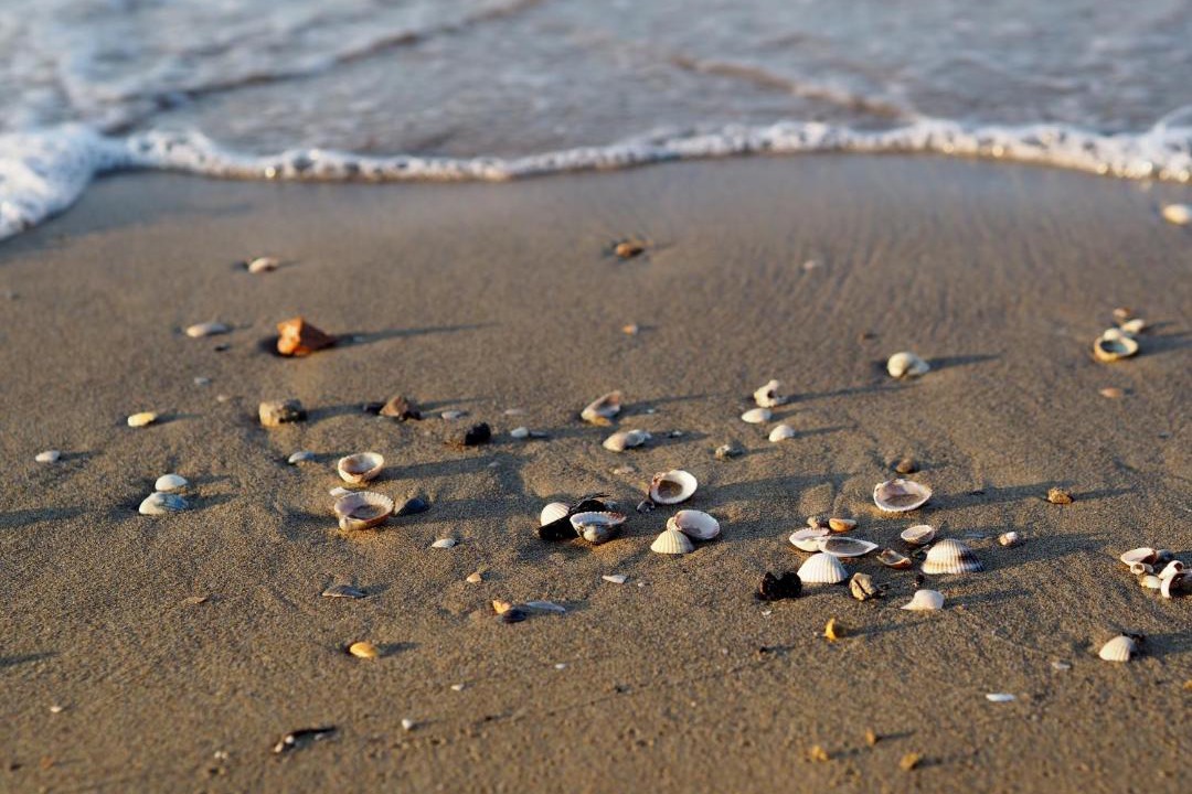 Photo of Others in Bibione Lido dei Pini