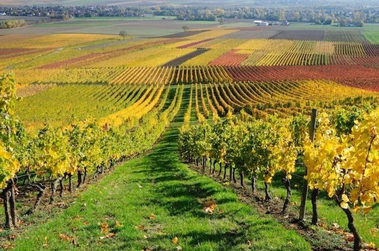 Photo of Others in Rosignano Monferrato