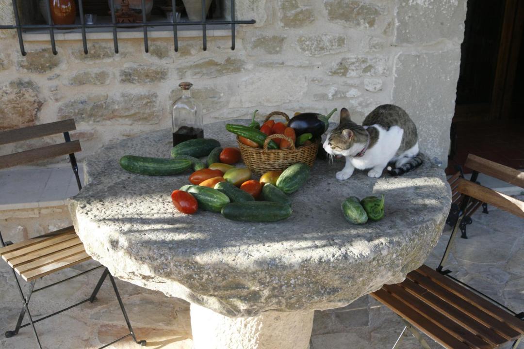 Photo of Others in Cretas