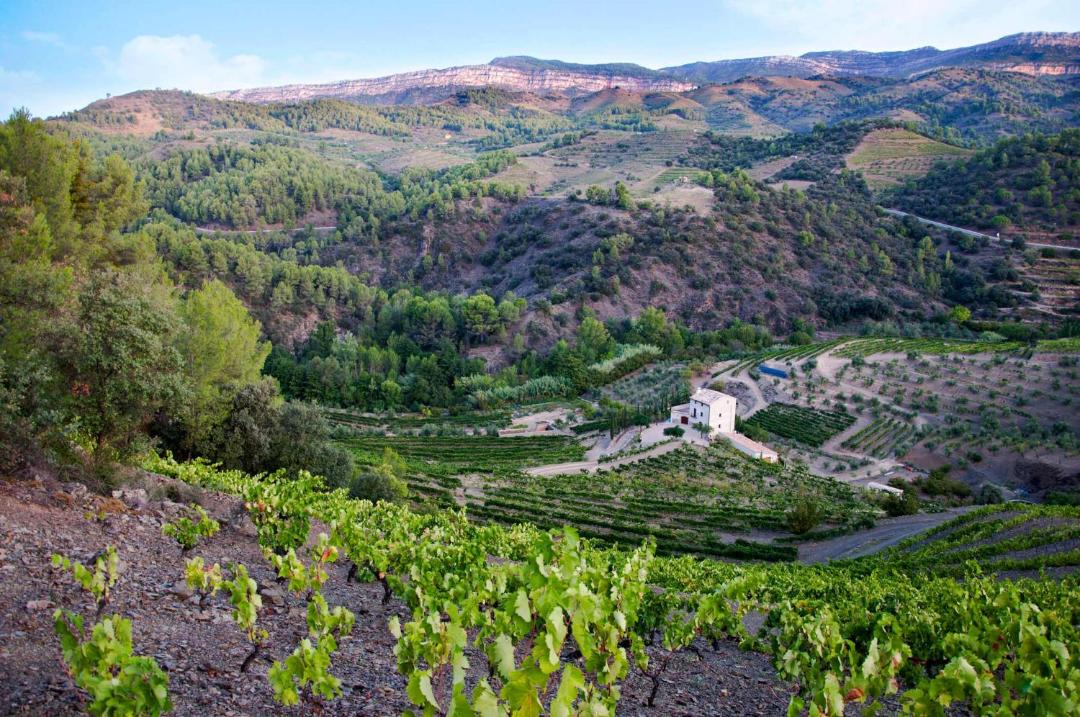 Photo of Others in Torroja del Priorat