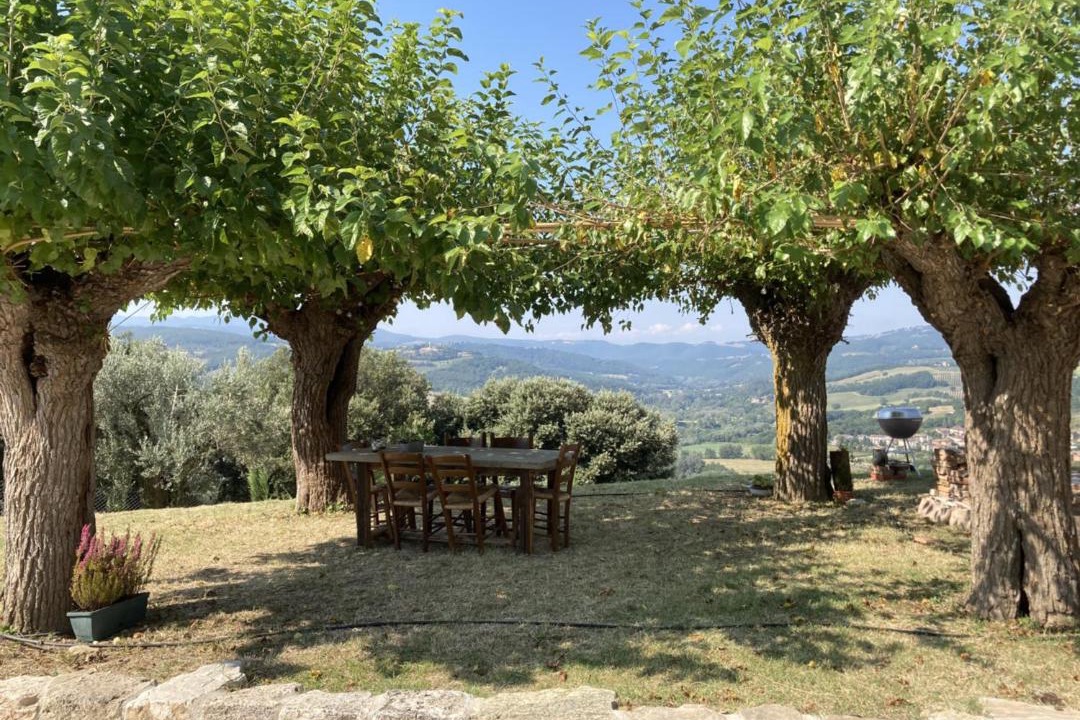 Photo of Others in Todi