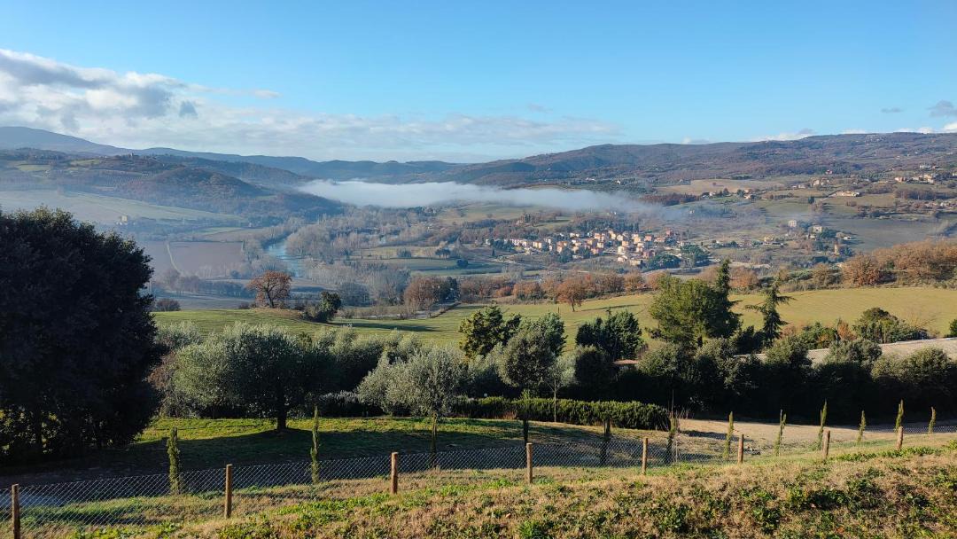 Photo of Others in Todi