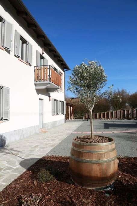Photo of Others in Vinchio
