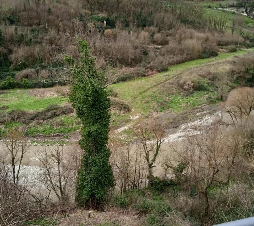Photo of Others in Tufo