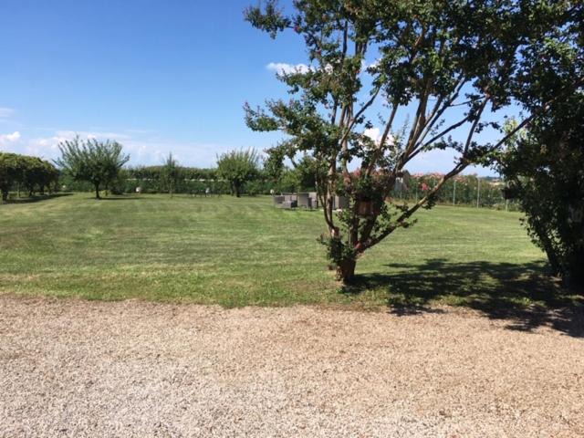 Photo of Others in San Michele al Tagliamento