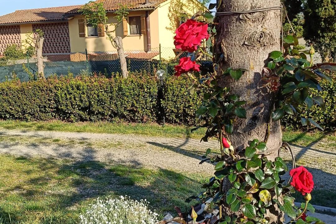 Photo of Outdoor in Poggibonsi