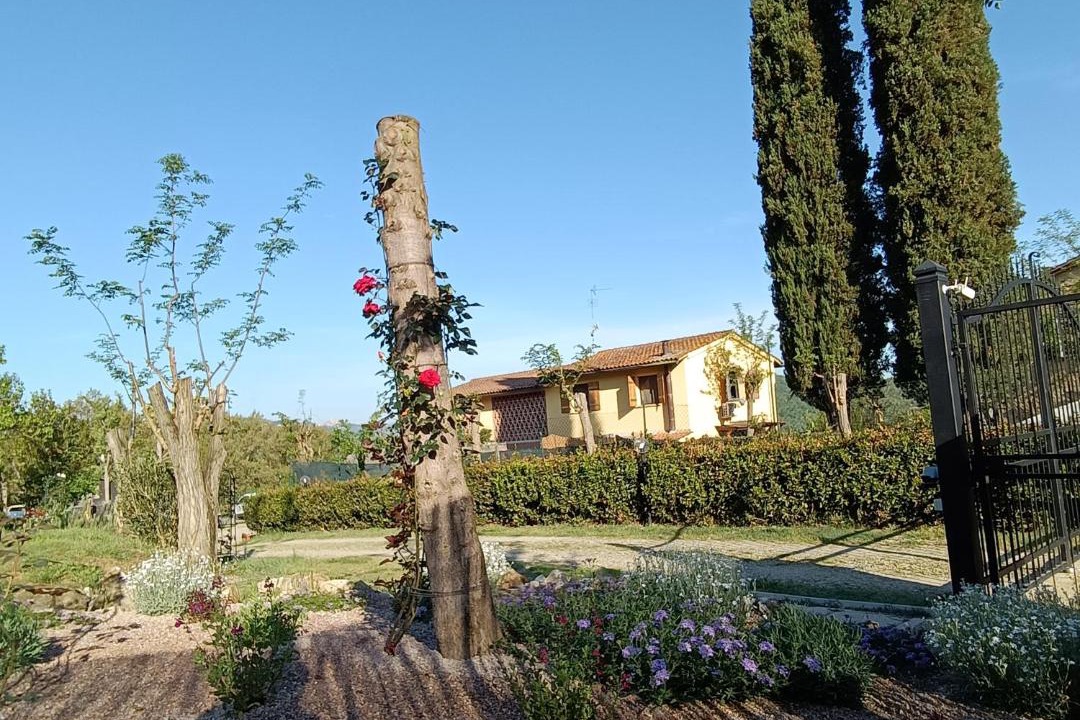 Photo of Others in Poggibonsi