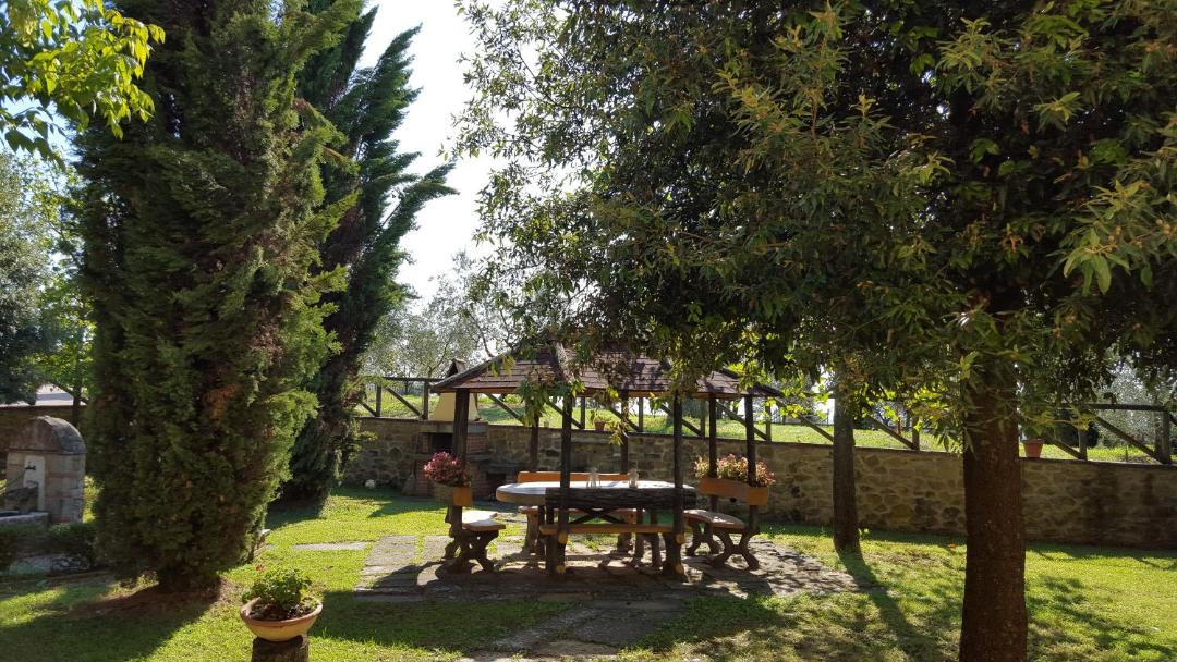 Photo of Outdoor in Oliveto