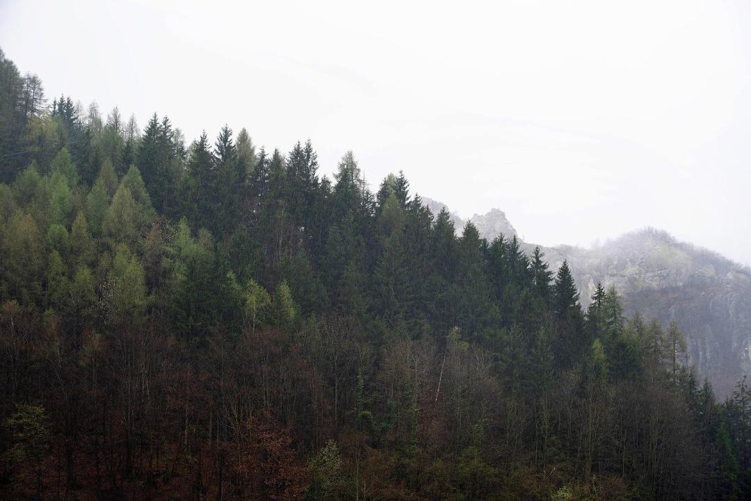 Photo of Others in Vernante