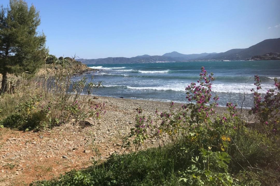 Photo of Others in Llanca