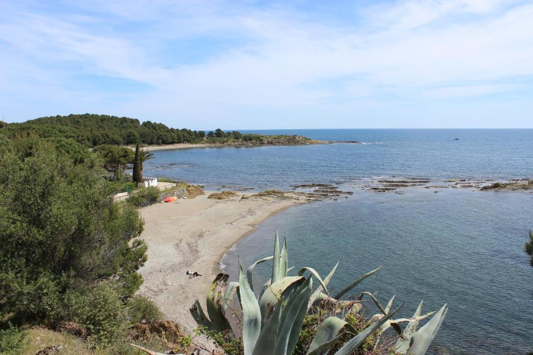 Photo of Others in Llanca