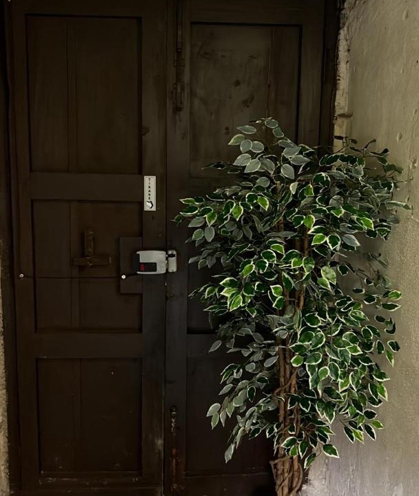 Photo of Others in Cosenza