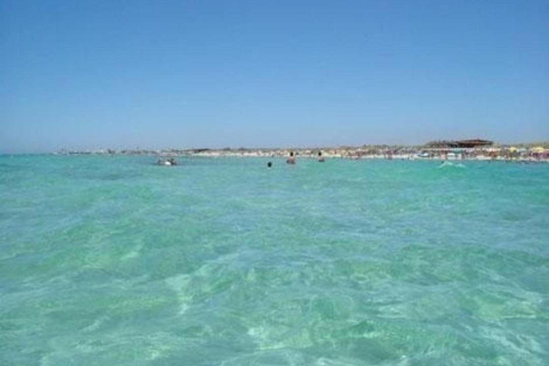 Photo of Others in Torre Mozza