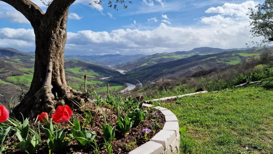 Photo of Others in Pieve Di Trebbio