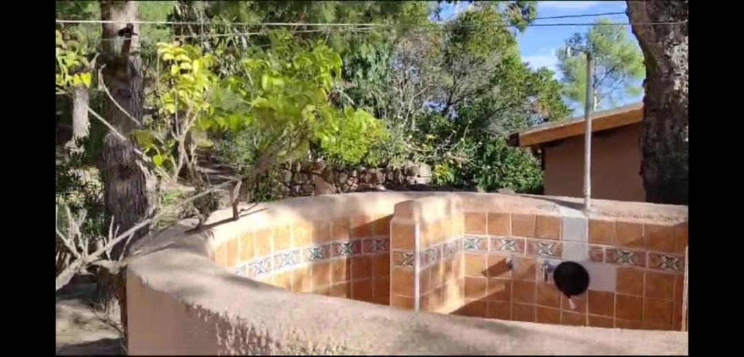Photo of Others in San Teodoro