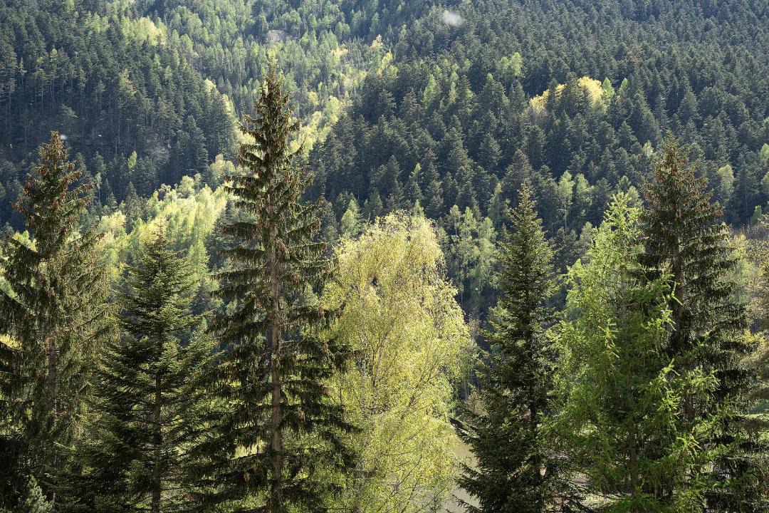 Photo of Outdoor in Acceglio
