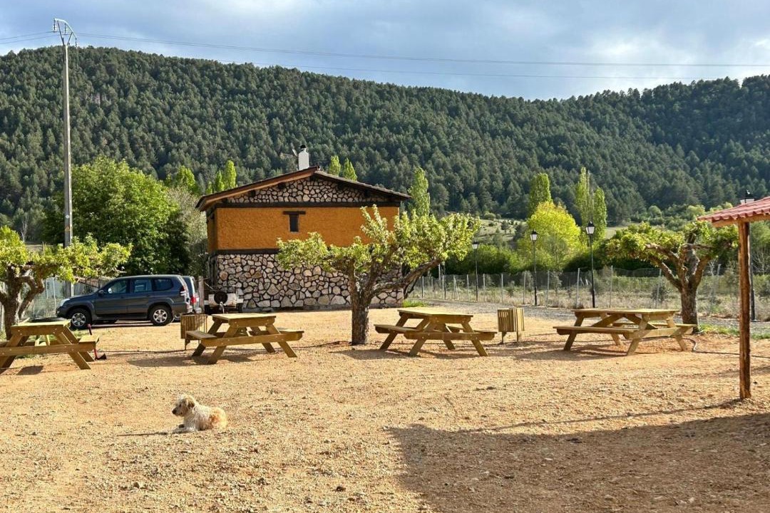 Photo of Others in Vega del Codorno