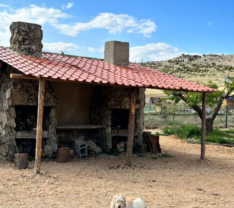 Photo of Others in Vega del Codorno