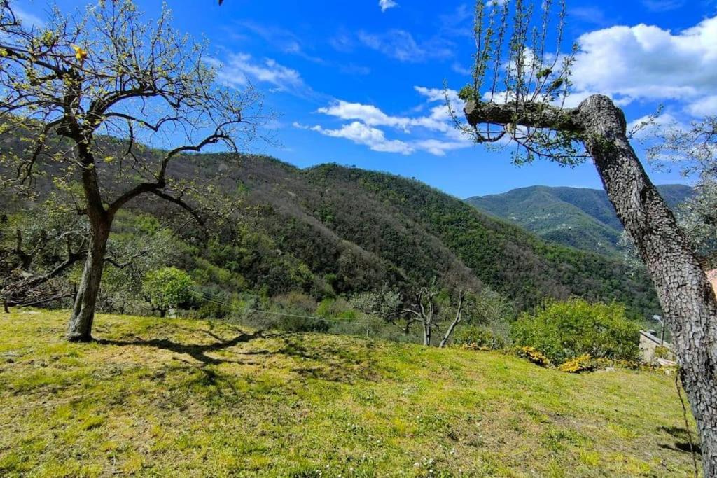 Photo of Outdoor in Avegno