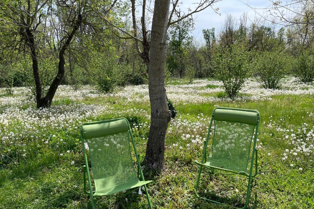 Photo of Outdoor in Bene Vagienna