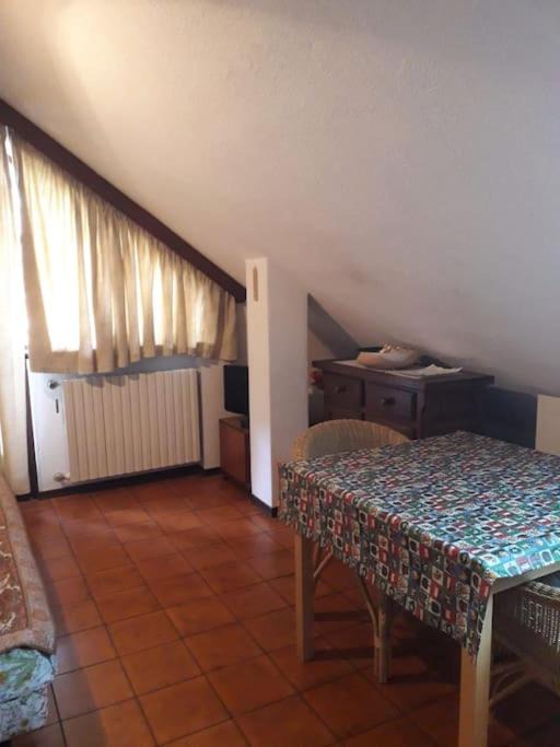 Photo of Others in Scopello