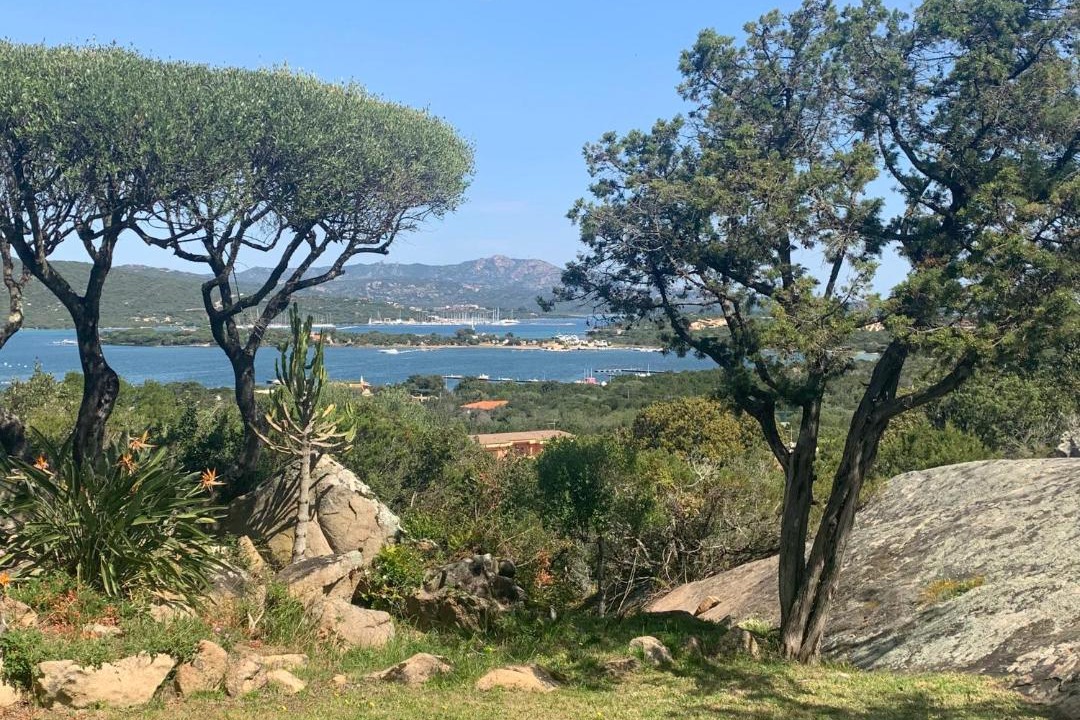 Photo of Others in Porto Rotondo