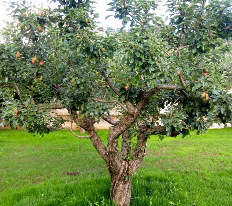 Photo of Others in Fondi