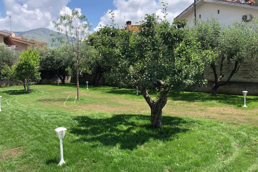 Photo of Others in Fondi