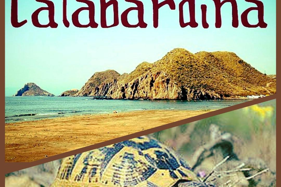 Photo of Others in Calabardina