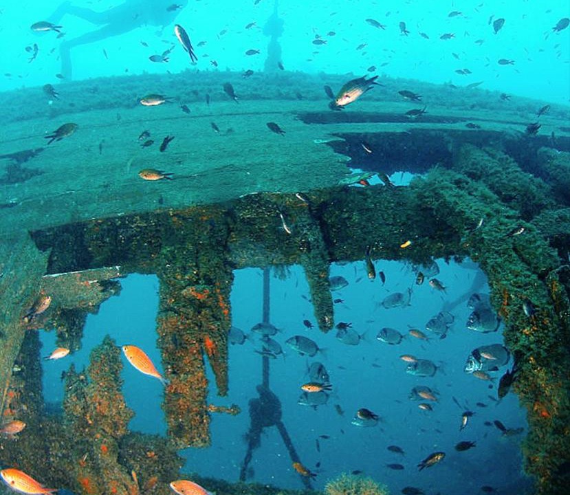 Photo of Others in Calabardina