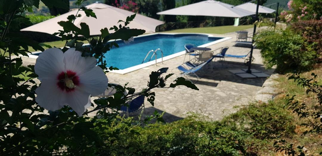 Photo of Outdoor in Todi