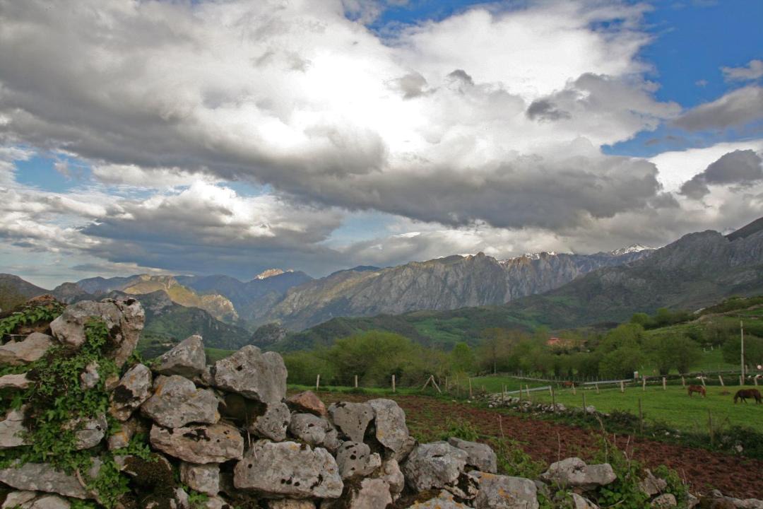 Photo of Others in Pandiello
